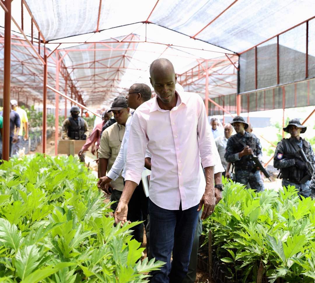 Inauguration de 4ème centre germoplasme forestier en Haïti post thumbnail image