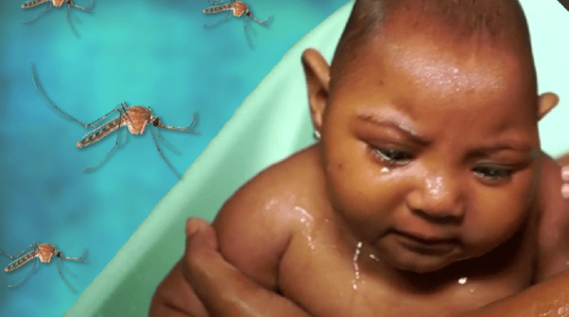 Virus Zika: Après le SIDA, Haïti, une nouvelle fois sur le banc des accusés! post thumbnail image