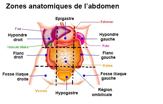 SANTÉ: LES DOULEURS ET LES CRAMPES ABDOMINALES, QU’ELLE SERAIT LES CAUSES PROBABLES? post thumbnail image