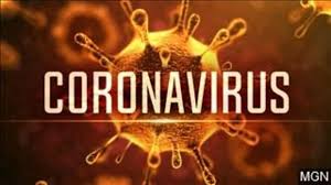 Coronavirus : le virus isolé par des chercheurs en Italie post thumbnail image